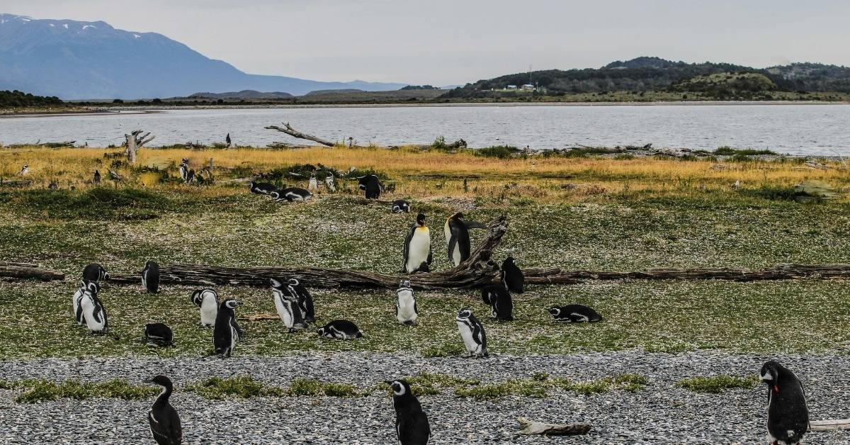 WHAT TO DO IN USHUAIA IN NOVEMBER?