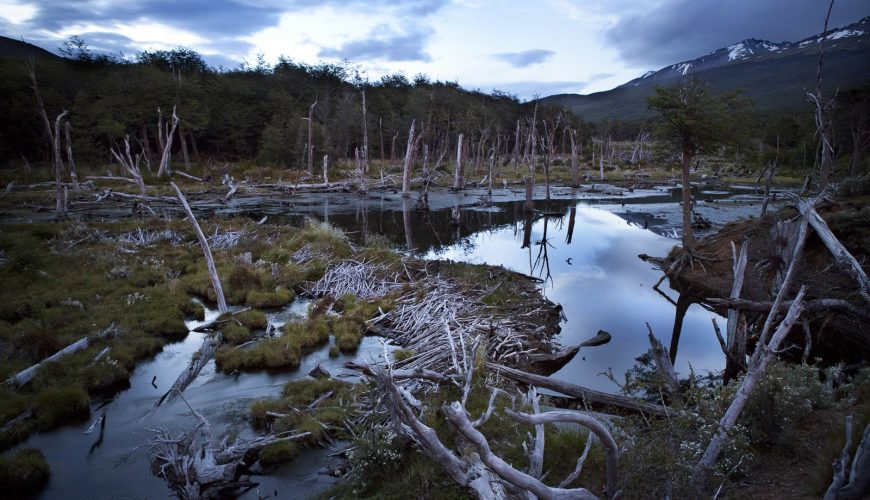Parque Nacional Tierra del Fuego