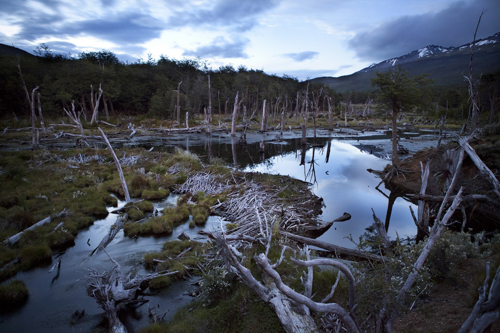 Parque Nacional Tierra del Fuego
