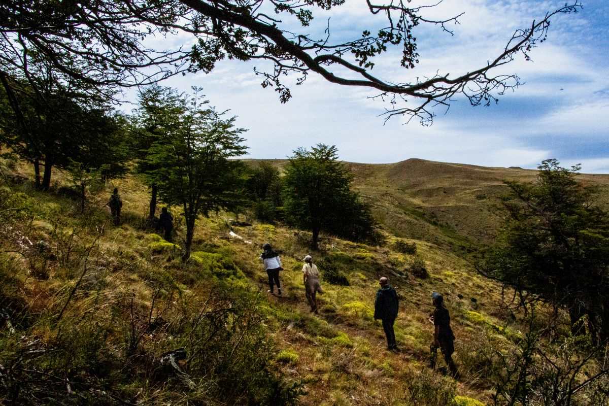 Cerro frias 22