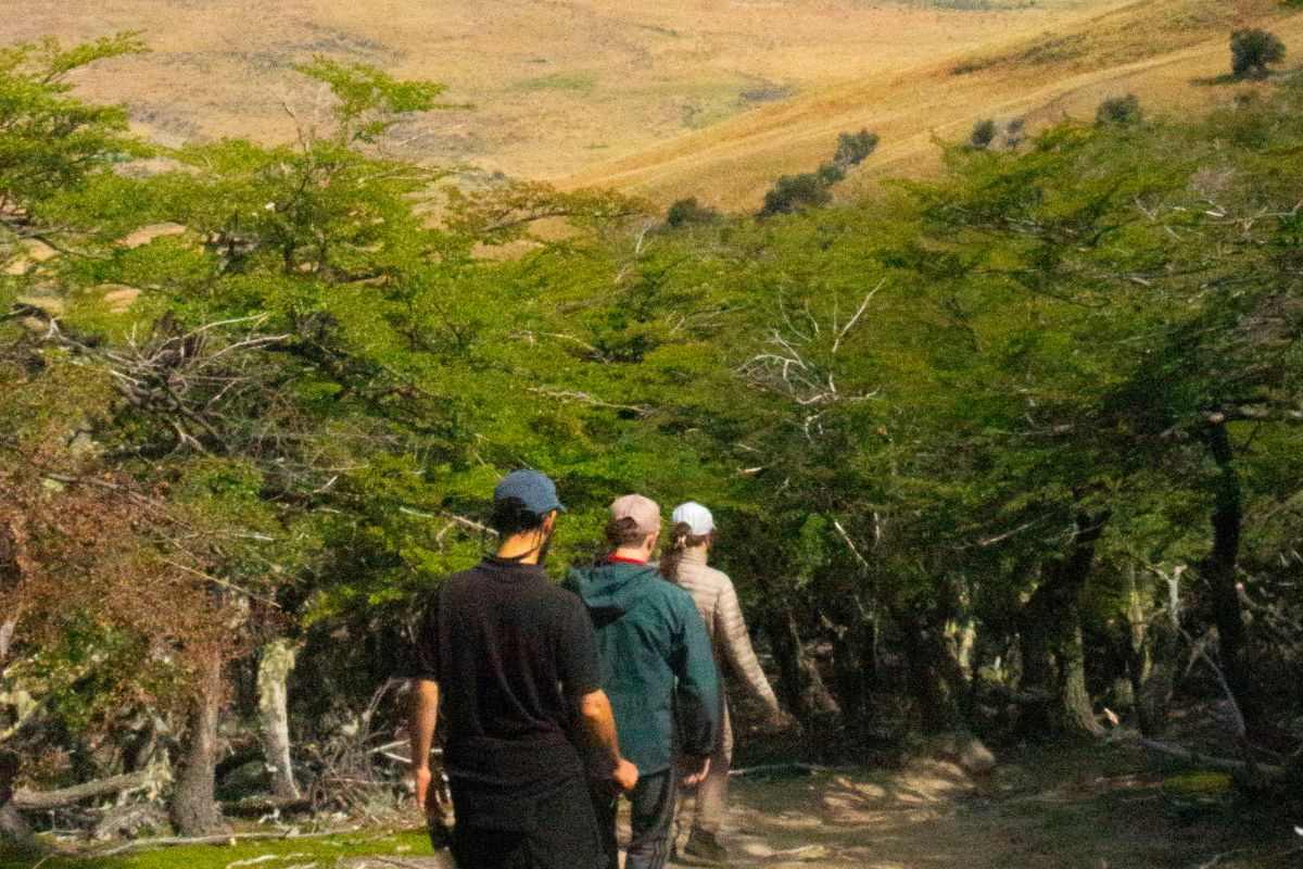 Cerro frias 29
