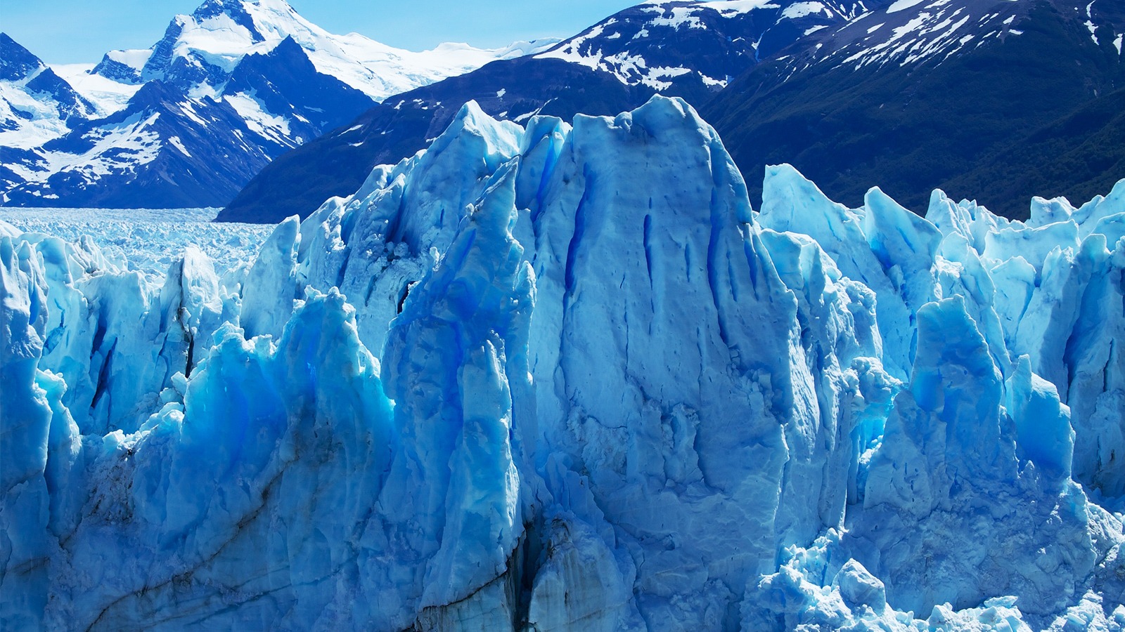 Glaciar Perito Moreno + Traslados Aeropuerto - Imagen 6