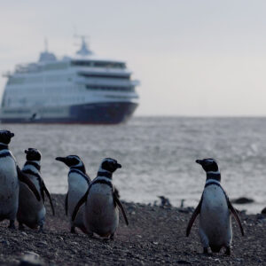 Cruceros Australis USHUAIA/ PUNTA ARENAS