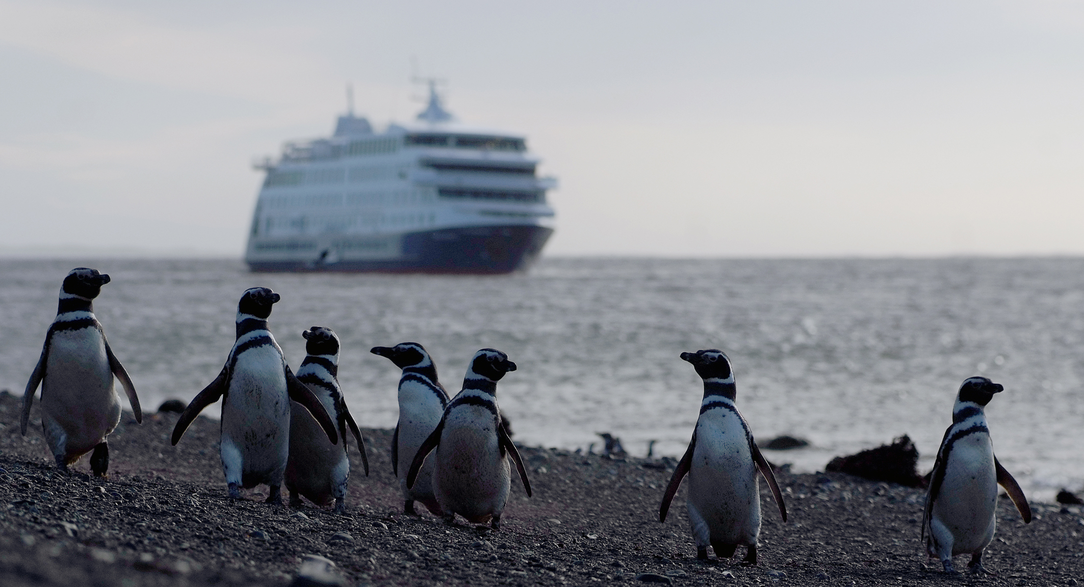 Cruceros Australis USHUAIA/ PUNTA ARENAS