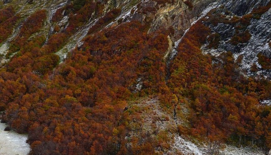 Ushuaia en otoño