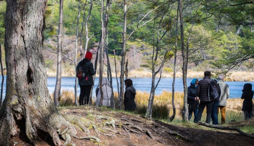 Ushuaia en verano: excursiones para todos