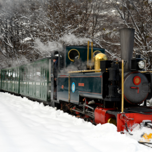 Parque Nacional + Tren del Fin del Mundo