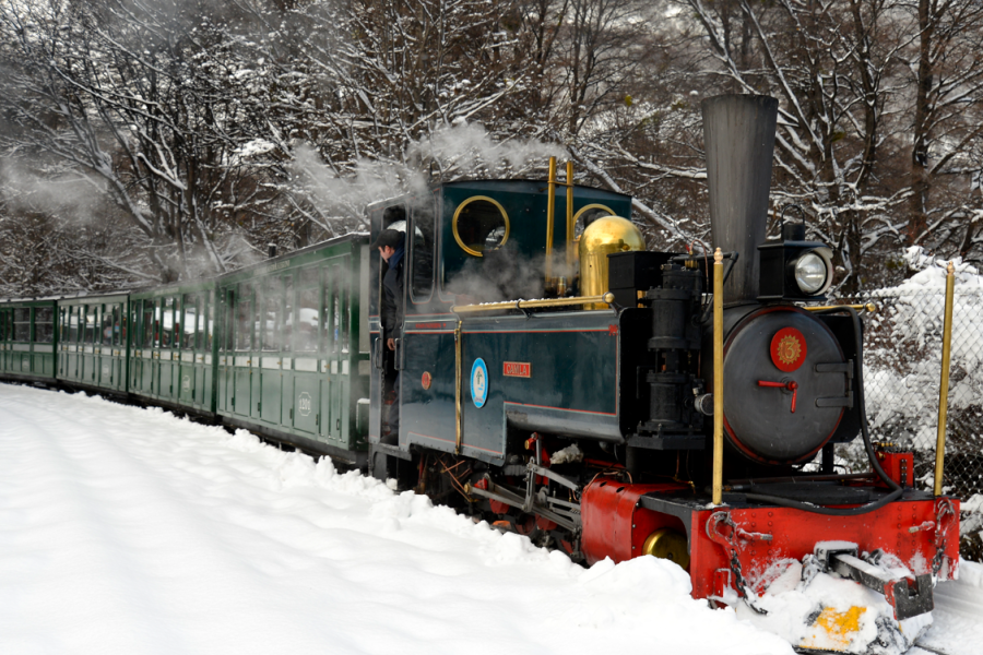 Parque Nacional + Tren del Fin del Mundo