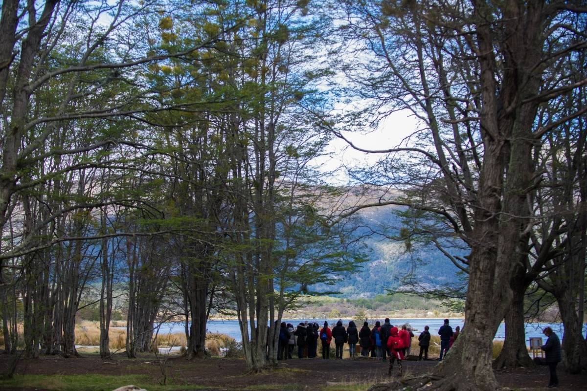 Parque Nacional Tierra del Fuego + Traslados aeropuerto - Imagen 14