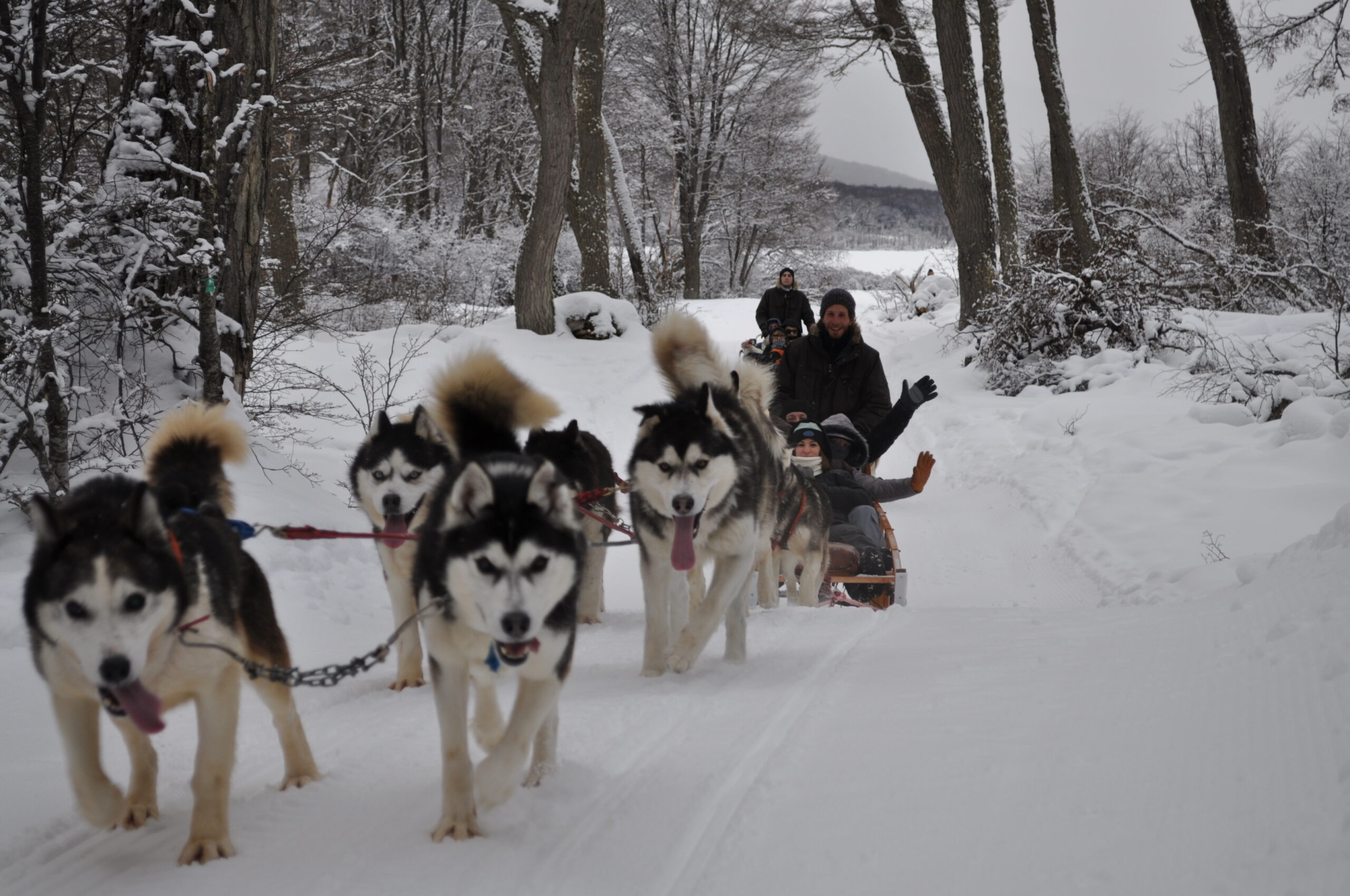 White Adventure - Image 5