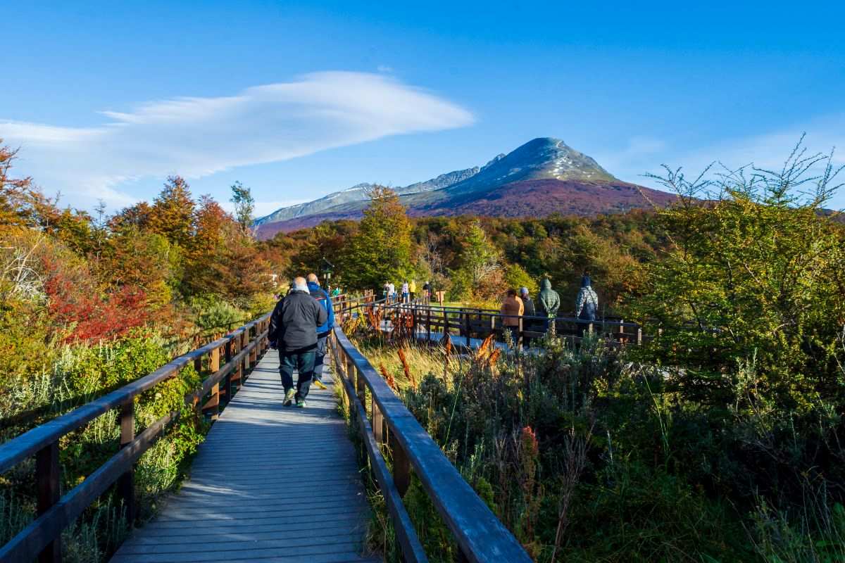 mayo en ushuaia pasarelas del parque nacional