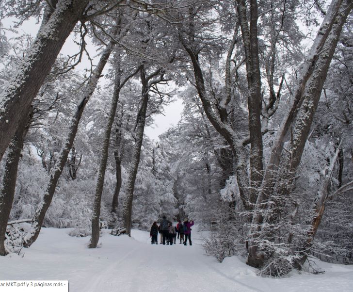 Trekking Laguna Esmeralda en Invierno - Imagen 3