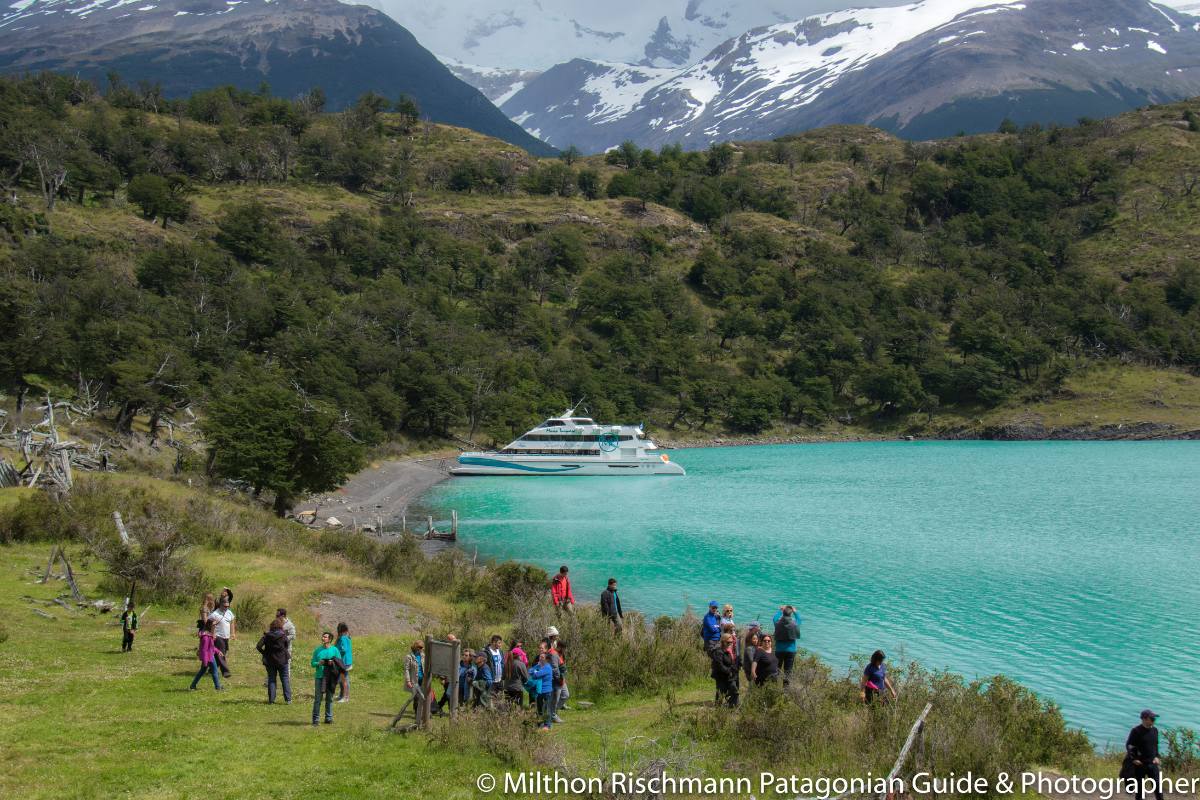 Gourmet Glaciers Cruise Experience - Image 13