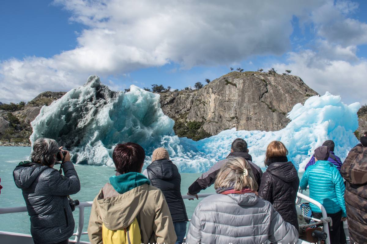 Gourmet Glaciers Cruise Experience - Image 17