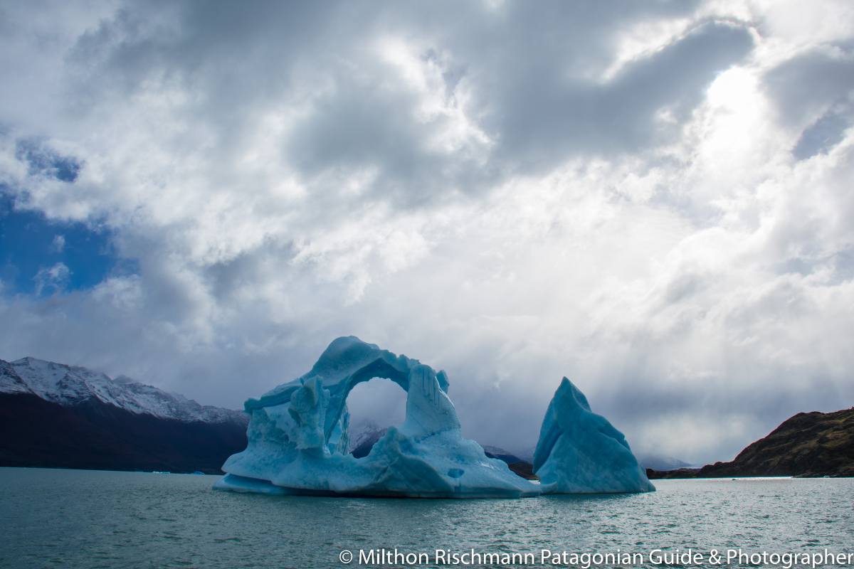 Gourmet Glaciers Cruise Experience - Image 19