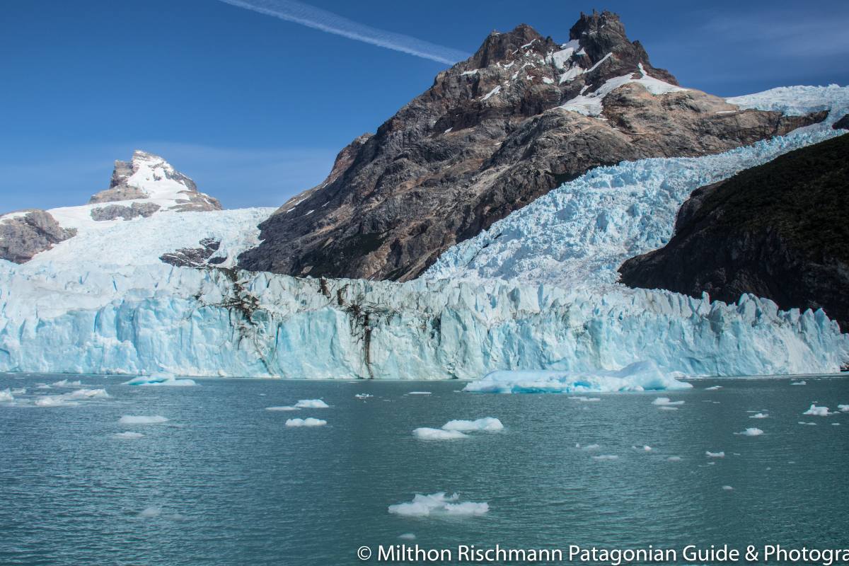 Gourmet Glaciers Cruise Experience - Image 20