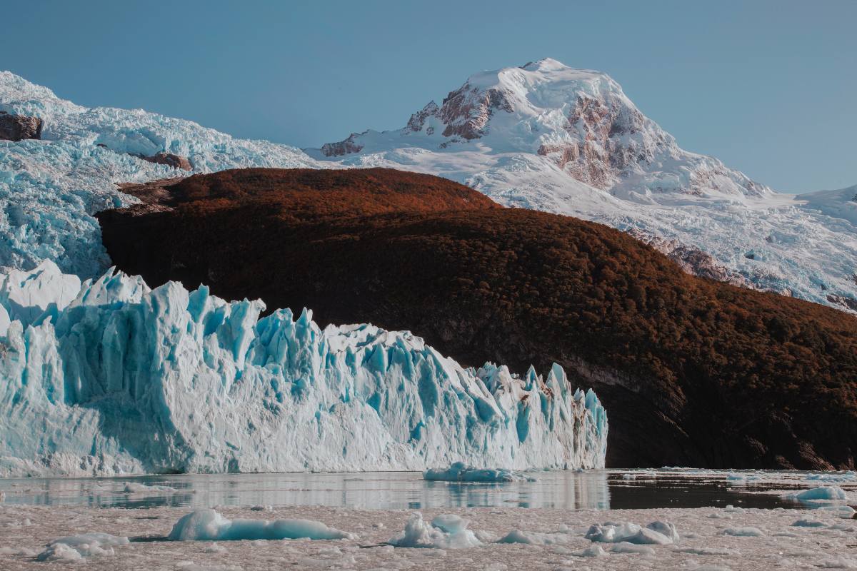 Gourmet Glaciers Cruise Experience - Image 24