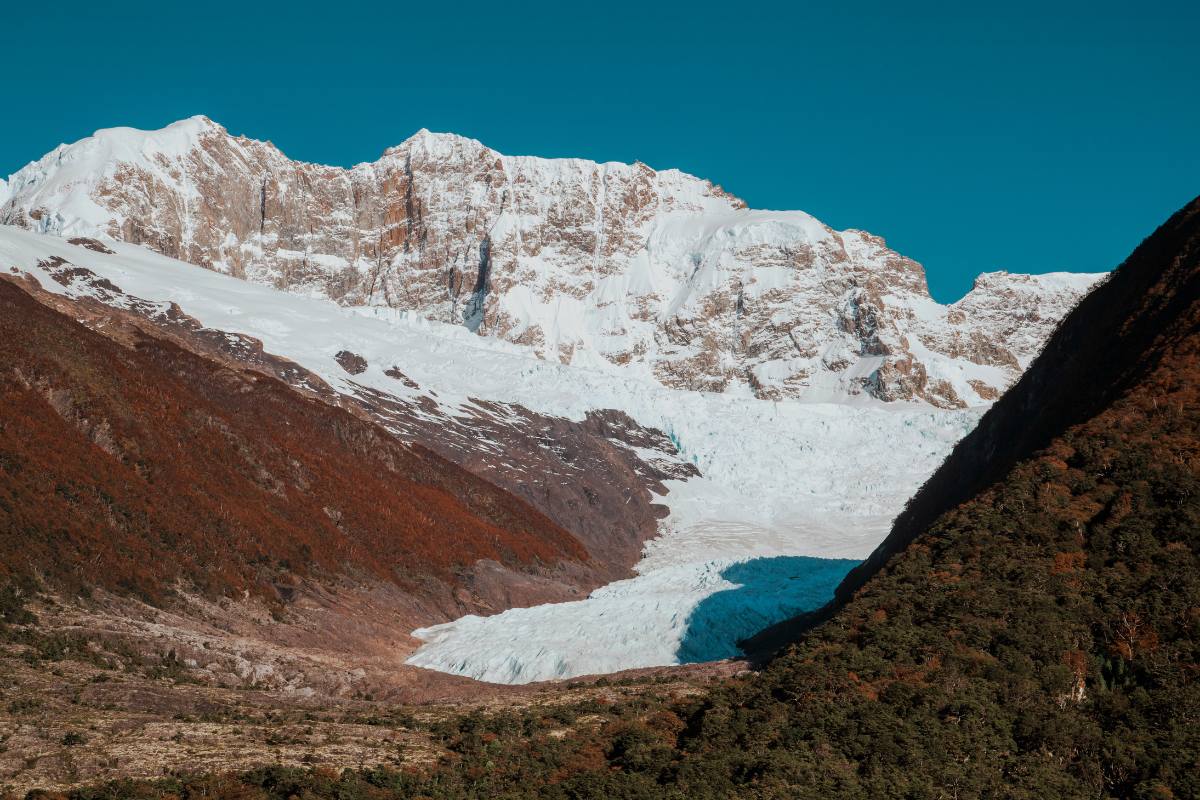 Gourmet Glaciers Cruise Experience - Image 26