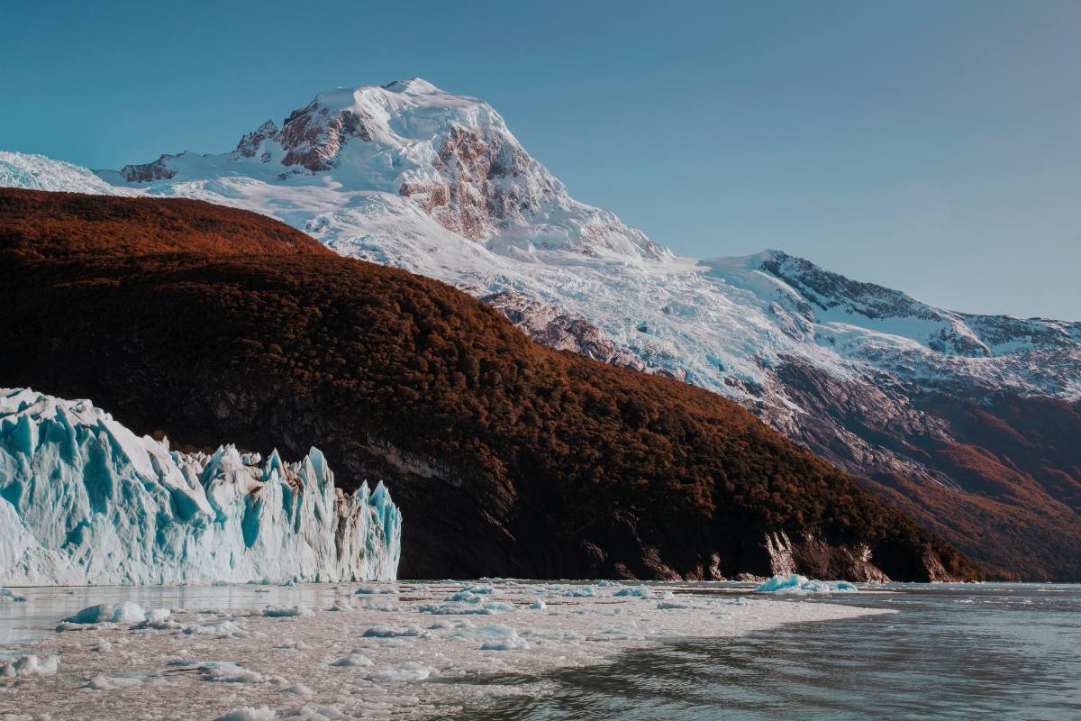 Gourmet Glaciers Cruise Experience - Image 28