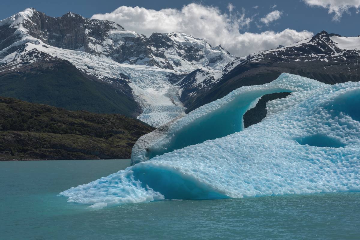 Gourmet Glaciers Cruise Experience - Image 30