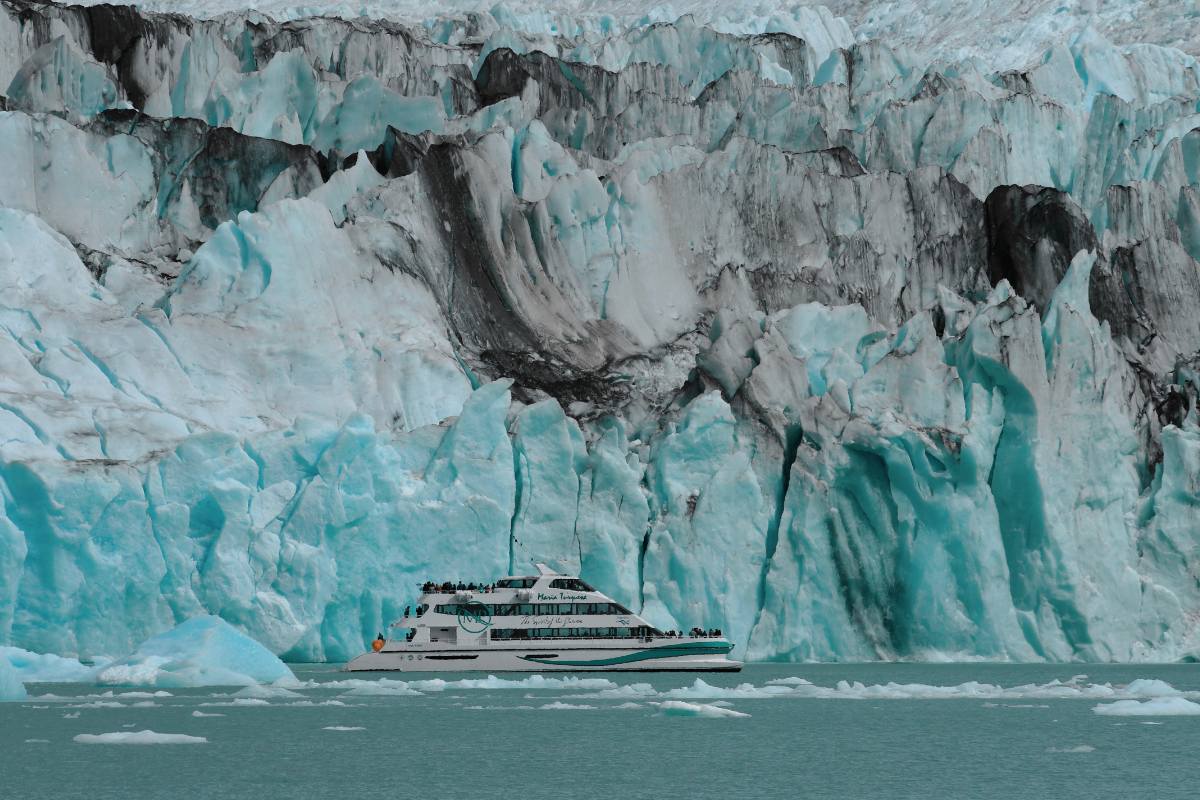 Gourmet Glaciers Cruise Experience - Image 8