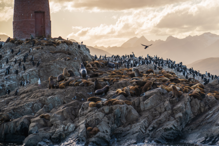 Navegación por el Canal Beagle hasta el Faro