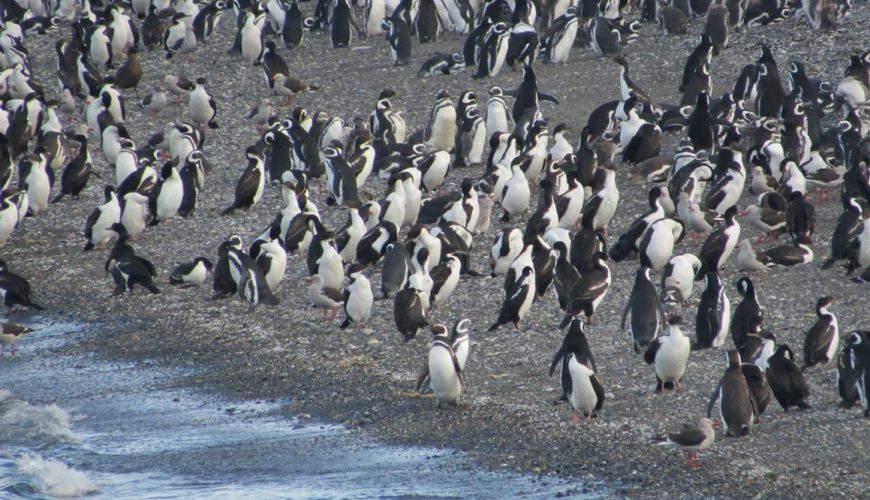 ¿Qué hacer en Ushuaia en verano?