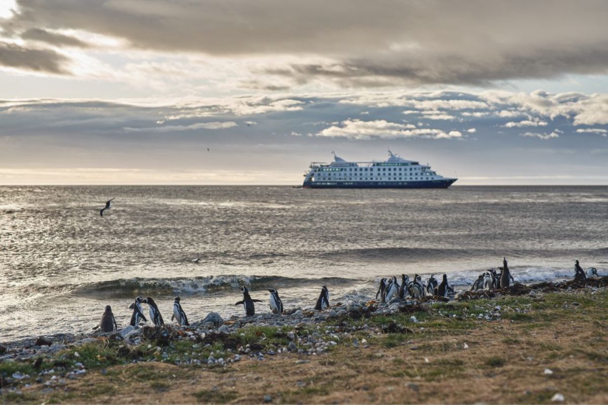 Cruceros Australis PUNTA ARENAS - USHUAIA | 4 NOCHES - Imagen 12