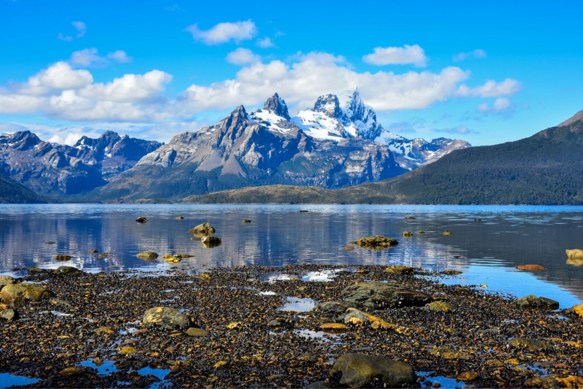 Cruceros Australis PUNTA ARENAS - USHUAIA | 4 NOCHES - Imagen 18