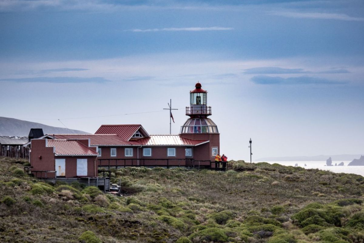 Cruceros Australis PUNTA ARENAS - USHUAIA | 4 NOCHES - Imagen 5