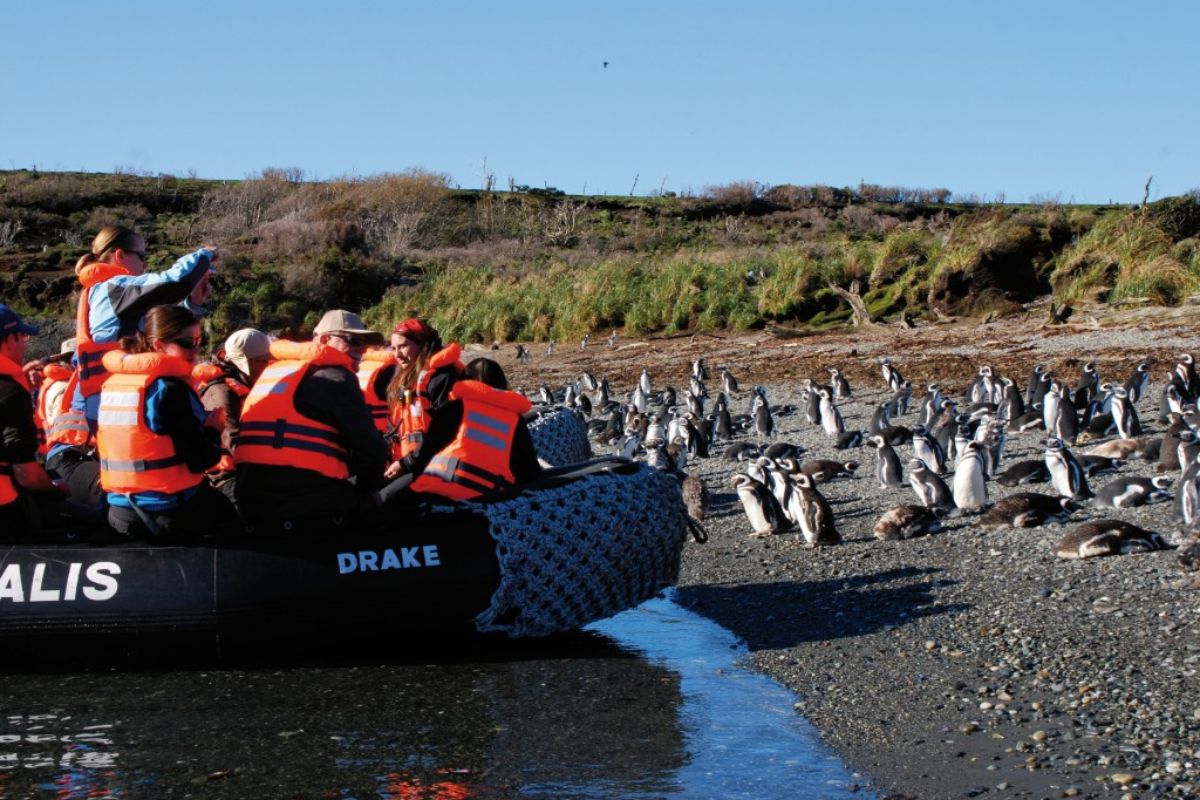 Cruceros Australis PUNTA ARENAS - USHUAIA | 4 NOCHES - Imagen 2