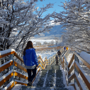 Paquete El Calafate + El Chaltén en 3 días