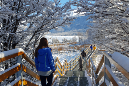 Paquete El Calafate + El Chaltén en 3 días