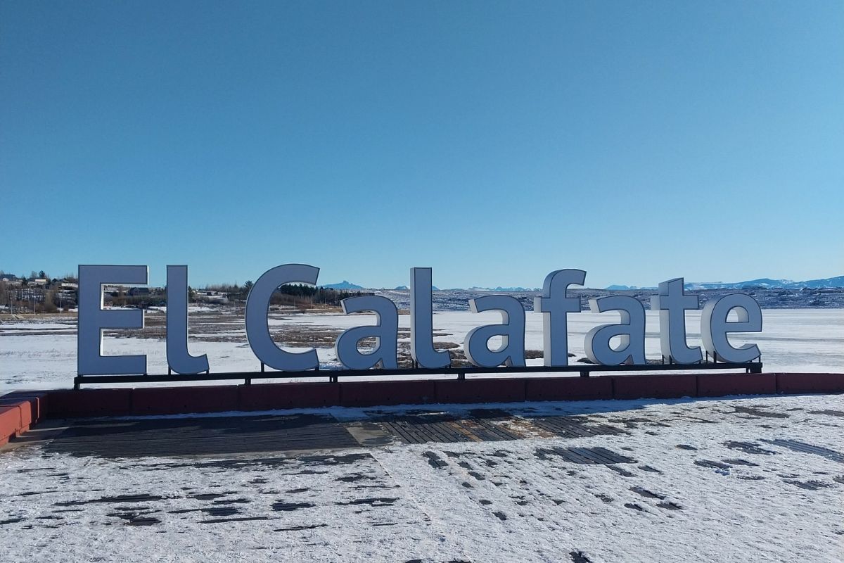 Calafate con nieve