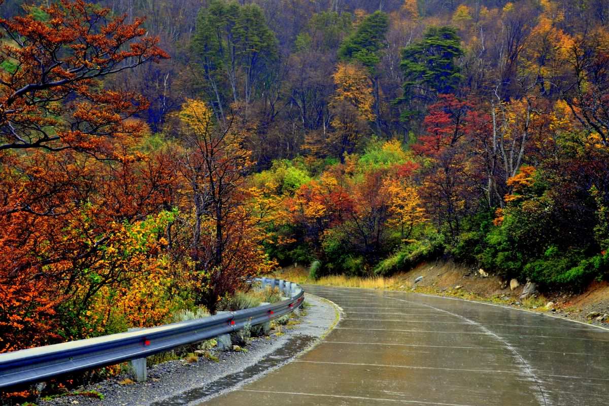 Paisajes y sabores invierno - city 10