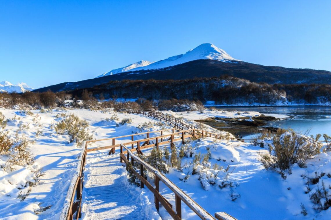 Parque en invoerno con nieve