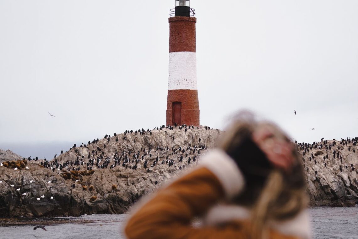 Faro en invierno con fauna