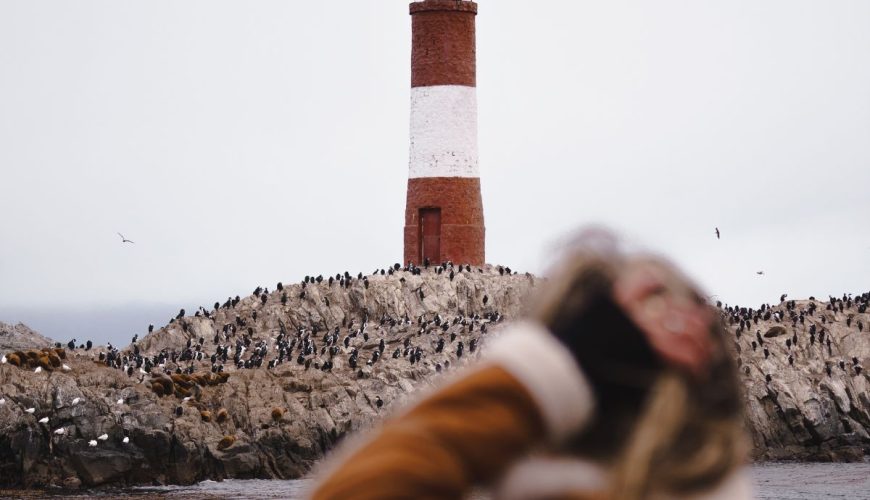 Faro en invierno con fauna