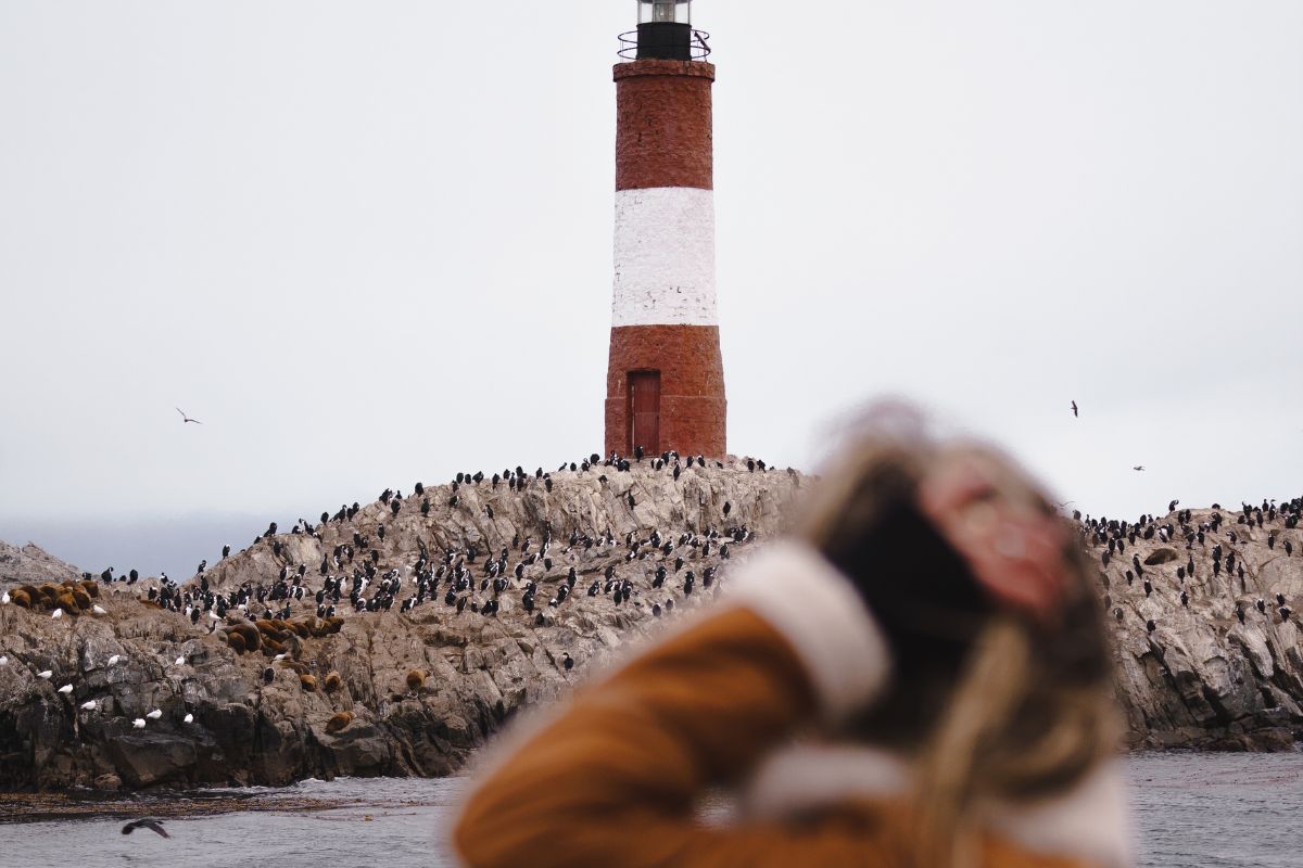 Faro en invierno con fauna