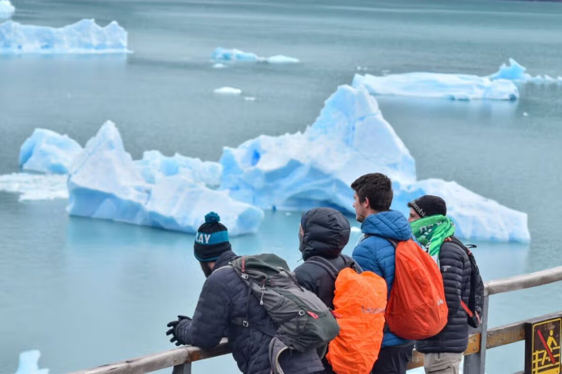 Calafate otoñal 2