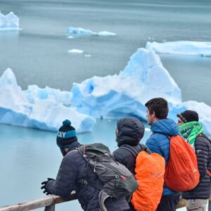 Calafate otoñal 2