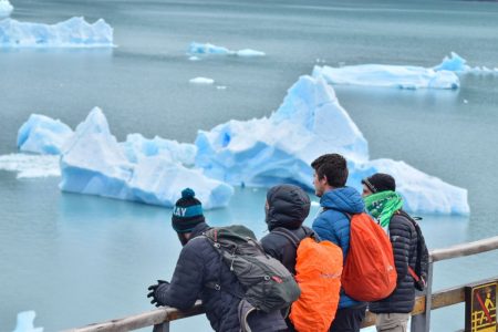 Calafate otoñal 2