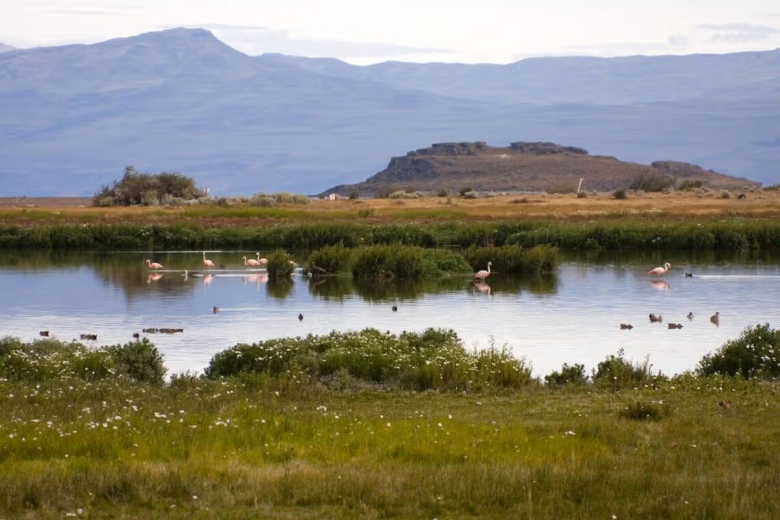 Laguna Nimez
