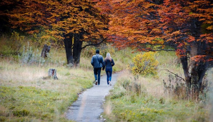 otoño parque