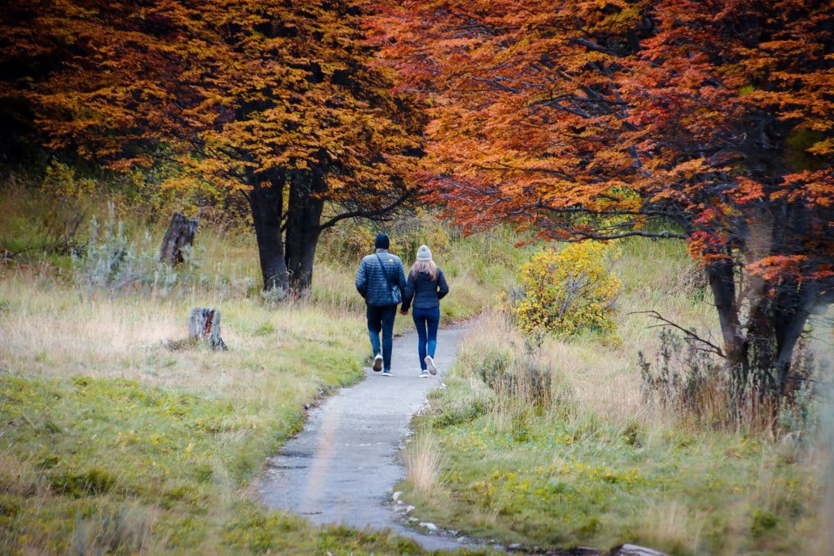 otoño parque
